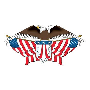 American Eagle with Flags Design Water Transfer Temporary Tattoo(fake Tattoo) Stickers NO.12049
