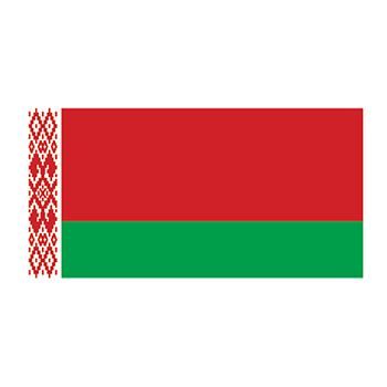 Belarus Flag Design Water Transfer Temporary Tattoo(fake Tattoo) Stickers NO.12713