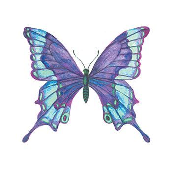 Blue Butterfly Design Water Transfer Temporary Tattoo(fake Tattoo) Stickers NO.13748