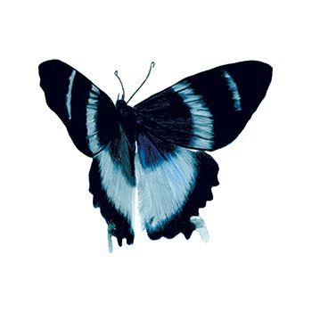 Blue Elegance Butterfly Design Water Transfer Temporary Tattoo(fake Tattoo) Stickers NO.13751