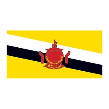 Brunei Flags Design Water Transfer Temporary Tattoo(fake Tattoo) Stickers NO.12718