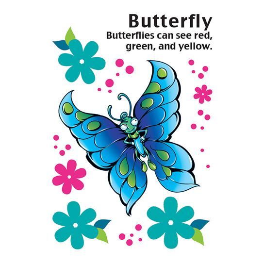 Cartoon Butterfly Design Water Transfer Temporary Tattoo(fake Tattoo) Stickers NO.14496