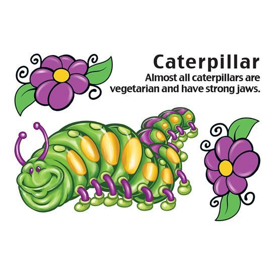 Cartoon Caterpillar Design Water Transfer Temporary Tattoo(fake Tattoo) Stickers NO.13735