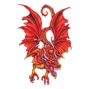 Flaming Red Dragon Design Water Transfer Temporary Tattoo(fake Tattoo) Stickers NO.11961