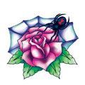 Rose And Black Widow Spider Design Water Transfer Temporary Tattoo(fake Tattoo) Stickers NO.13221