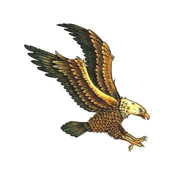 Soaring Flying Eagle Design Water Transfer Temporary Tattoo(fake Tattoo) Stickers NO.12852
