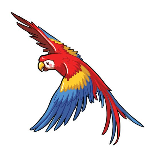 Flying Macaw Design Water Transfer Temporary Tattoo(fake Tattoo) Stickers NO.13706