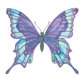 Glitter Shades of Blue Butterfly Design Water Transfer Temporary Tattoo(fake Tattoo) Stickers NO.14377