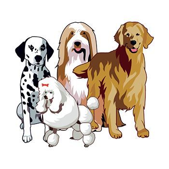 Group of Dogs Design Water Transfer Temporary Tattoo(fake Tattoo) Stickers NO.13687