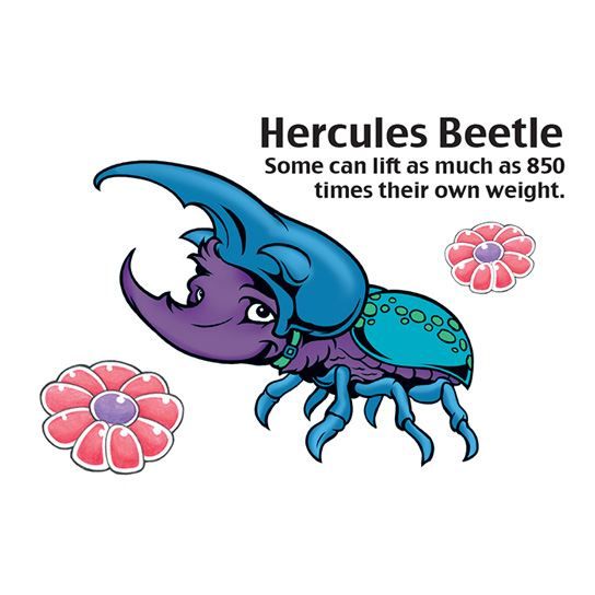 Hercules Beetle Design Water Transfer Temporary Tattoo(fake Tattoo) Stickers NO.14611