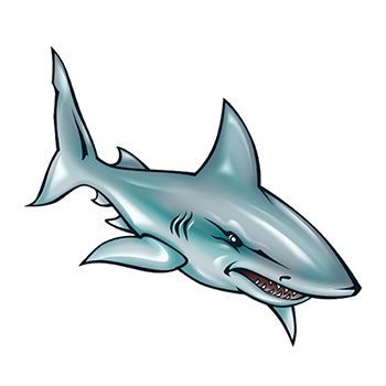 Illustrated Shark Design Water Transfer Temporary Tattoo(fake Tattoo) Stickers NO.13629