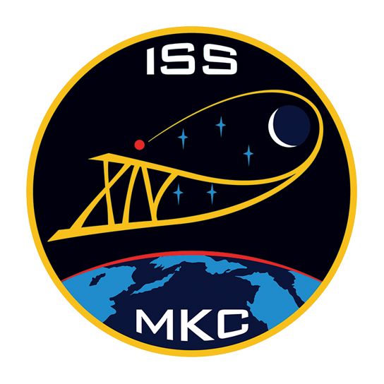 ISS NASA Design Water Transfer Temporary Tattoo(fake Tattoo) Stickers NO.14082
