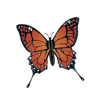 Monarch Butterfly Design Water Transfer Temporary Tattoo(fake Tattoo) Stickers NO.13563