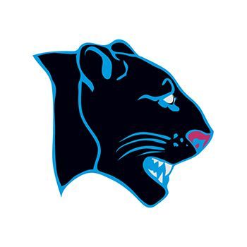Panther Design Water Transfer Temporary Tattoo(fake Tattoo) Stickers NO.15133
