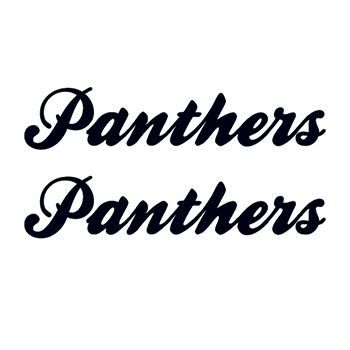 Panthers Text Design Water Transfer Temporary Tattoo(fake Tattoo) Stickers NO.15138