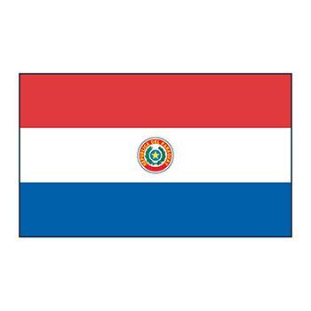 Paraguay Flag Design Water Transfer Temporary Tattoo(fake Tattoo) Stickers NO.12774