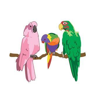 Parrots Design Water Transfer Temporary Tattoo(fake Tattoo) Stickers NO.13550