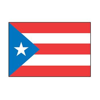 Puerto Rico Country Flag Design Water Transfer Temporary Tattoo(fake Tattoo) Stickers NO.12758