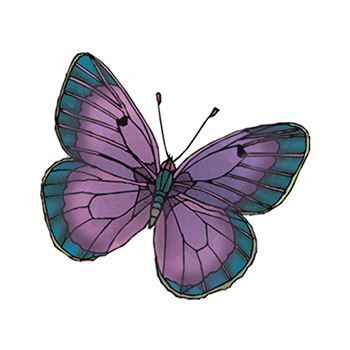 Purple and Green Butterfly Design Water Transfer Temporary Tattoo(fake Tattoo) Stickers NO.13773