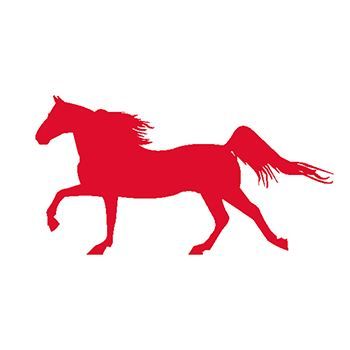 Red Horse Design Water Transfer Temporary Tattoo(fake Tattoo) Stickers NO.13518