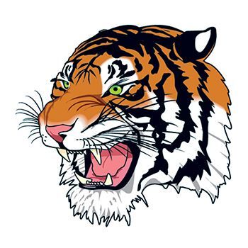 Snarling Bengal Tiger Face Design Water Transfer Temporary Tattoo(fake Tattoo) Stickers NO.13063