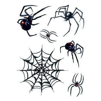 Spider and Webs Design Water Transfer Temporary Tattoo(fake Tattoo) Stickers NO.13822