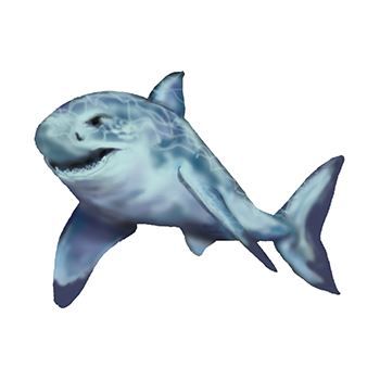 Swimming Shark Design Water Transfer Temporary Tattoo(fake Tattoo) Stickers NO.13686