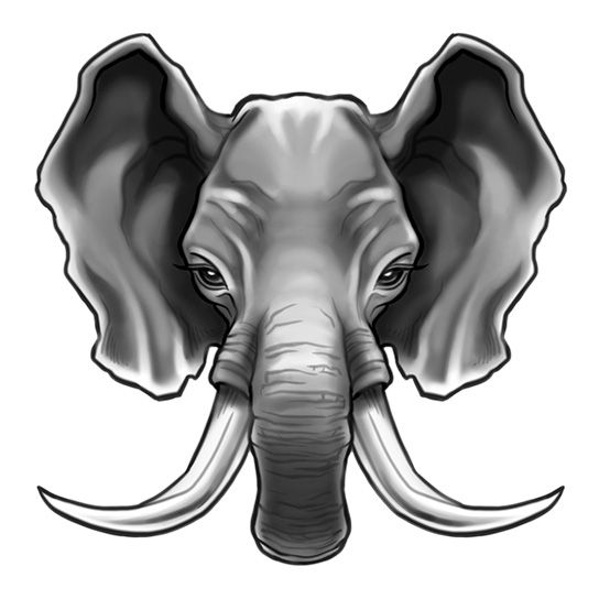 Tough Tusks Elephant Design Water Transfer Temporary Tattoo(fake Tattoo) Stickers NO.13703