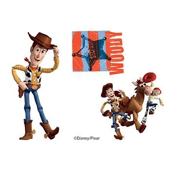 Toy Story: Woody and Friendss Design Water Transfer Temporary Tattoo(fake Tattoo) Stickers NO.13997