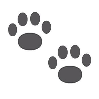 Two Paws Design Water Transfer Temporary Tattoo(fake Tattoo) Stickers NO.13081