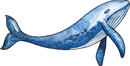 Blue Whale Design Water Transfer Temporary Tattoo(fake Tattoo) Stickers NO.13722