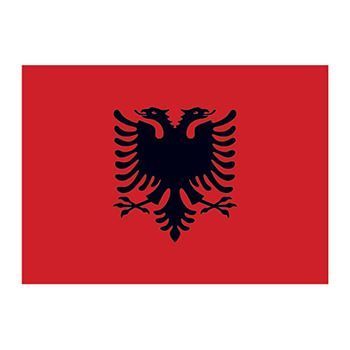 Albania Flag Design Water Transfer Temporary Tattoo(fake Tattoo) Stickers NO.12727