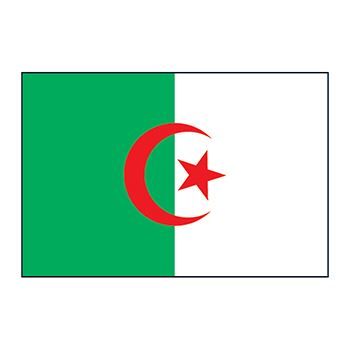 Algeria Flag Design Water Transfer Temporary Tattoo(fake Tattoo) Stickers NO.12701