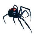 Black Widow Spider Bug Design Water Transfer Temporary Tattoo(fake Tattoo) Stickers NO.13745