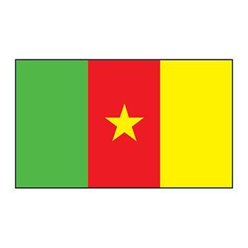 Cameroon Flag Design Water Transfer Temporary Tattoo(fake Tattoo) Stickers NO.12745