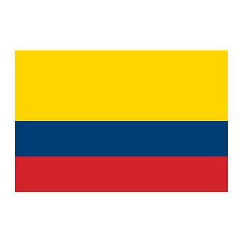 Flag of Colombia Design Water Transfer Temporary Tattoo(fake Tattoo) Stickers NO.12800