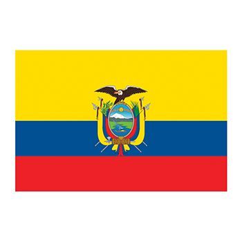 Flag of Ecuador Design Water Transfer Temporary Tattoo(fake Tattoo) Stickers NO.12806