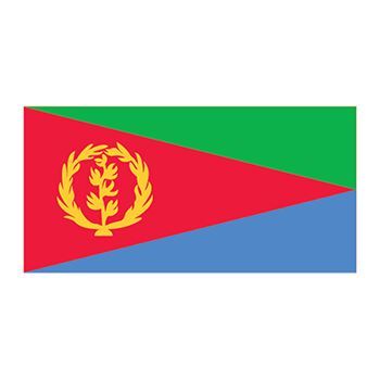 Flag of Eritrea Design Water Transfer Temporary Tattoo(fake Tattoo) Stickers NO.12810