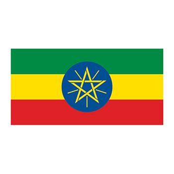 Flag of Ethiopia Design Water Transfer Temporary Tattoo(fake Tattoo) Stickers NO.12812