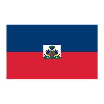 Flag of Haiti Design Water Transfer Temporary Tattoo(fake Tattoo) Stickers NO.12815