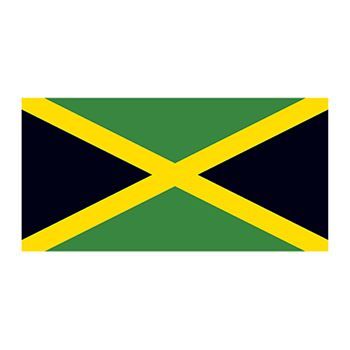 Flag of Jamaica Design Water Transfer Temporary Tattoo(fake Tattoo) Stickers NO.12801