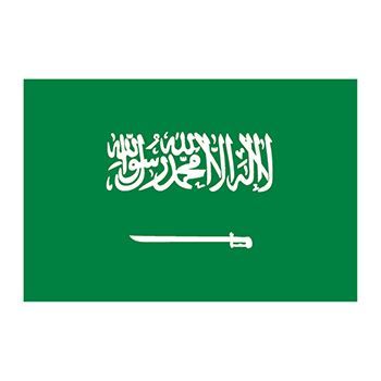Flag of Saudi Arabia Design Water Transfer Temporary Tattoo(fake Tattoo) Stickers NO.11867
