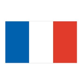 France Flag Design Water Transfer Temporary Tattoo(fake Tattoo) Stickers NO.12813