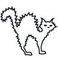 Glow In The Dark Zapped Cat Design Water Transfer Temporary Tattoo(fake Tattoo) Stickers NO.14422