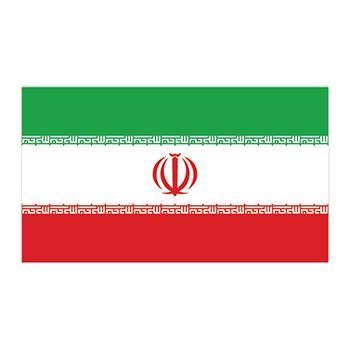 Iran Flag Design Water Transfer Temporary Tattoo(fake Tattoo) Stickers NO.12769