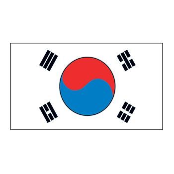 Korea Flag Design Water Transfer Temporary Tattoo(fake Tattoo) Stickers NO.12785