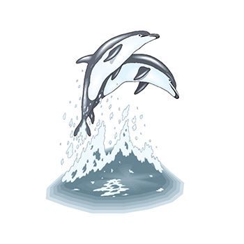 Leaping Dolphins Design Water Transfer Temporary Tattoo(fake Tattoo) Stickers NO.13542
