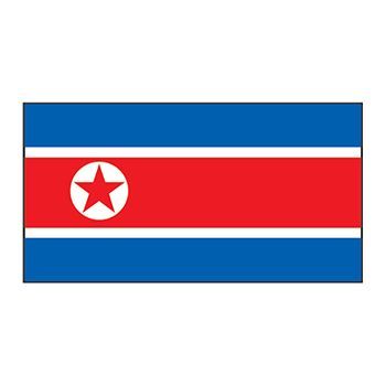 North Korea Flag Design Water Transfer Temporary Tattoo(fake Tattoo) Stickers NO.11903