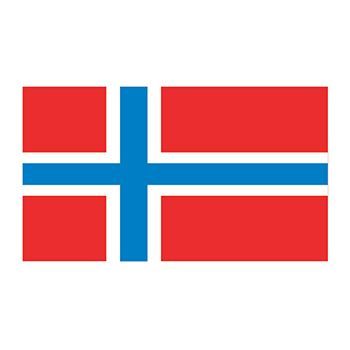 Norway Flag Design Water Transfer Temporary Tattoo(fake Tattoo) Stickers NO.12771