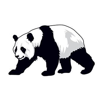Panda Bear Design Water Transfer Temporary Tattoo(fake Tattoo) Stickers NO.13571